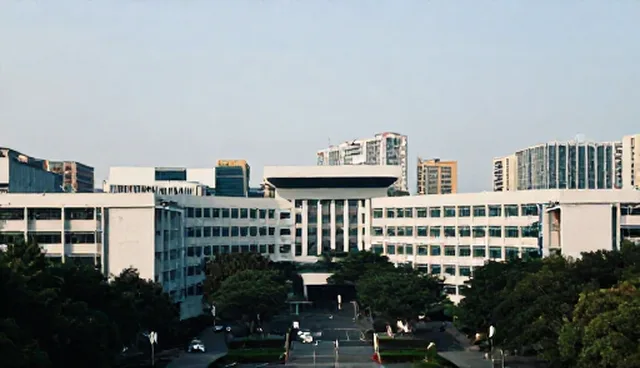 软件研发使用与维护建议:如何提升系统稳定性